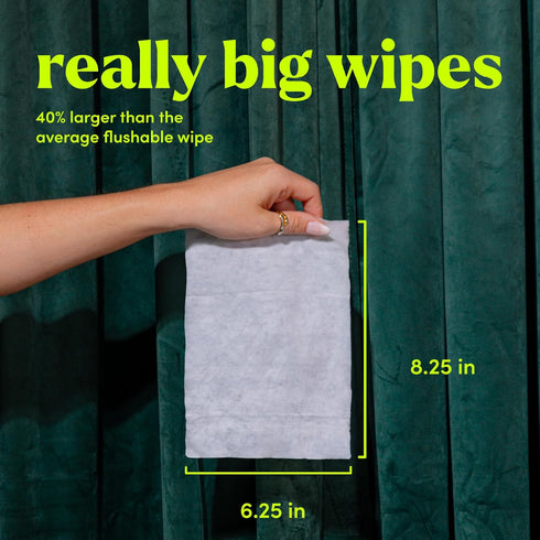 Pack, 240 Count (4 Packs) Goodwipes Flushable Butt Wipes Made with Vitamin E & Aloe - Soft & Gentle Wet Wipe Dispenser