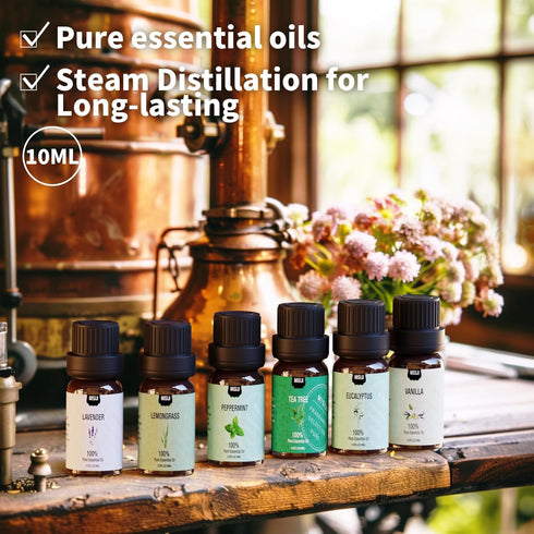 Essential Oils Set Top 6 Aromatherapy-Essential Oils for Diffuser for Home,Air Freshening Diffuser Oils Scents for aromatherapy,Laundry,Candle&Soap Making,Humidifiers 6 X 10ML