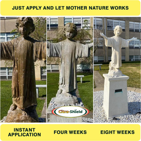 Outdoor Cleaner - Concrete Cleaner, Roof Cleaner, Walls Cleaner, Headstone Cleaner, Deck and Vinyl Siding Cleaner - RTU