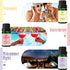 Summer 12 Midsummer Sets Fragrance Oils, MitFlor Bottles Premium Scented Oils for Diffuser, Fruits, Soap, Candle