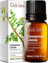 Set Set Spikenard Essential Oil for Diffuser & Cinnamon Cassia Essential Oil - Aromatherapy Grade Essential Oils - Gya