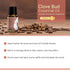 Rocky Mountain Clove Bud Essential Oil - 15ml Aromatherapy Diffuser Oils, Topical Massage Oil for Home