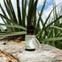 Rocky Mountain Oils Lemongrass Essential Oil - Essential Oils for Diffusers, Topical, Home - 15ml