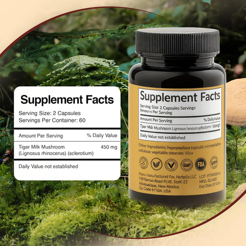 Vitamyco Immune 60 Tiger Milk Mushroom Supplement (Lignosus Rhinocerus), Natural Respiratory Health Supplement