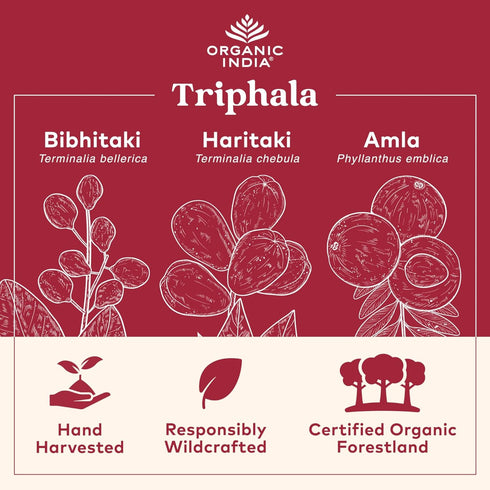 ORGANIC INDIA Triphala Capsules: Organic Herbal Supplement for Digestion, Colon, and Immune Support - 90 Capsules
