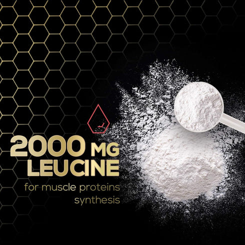 BCAA Powder - 4g BCAAs 2:1:1, 1g Glutamine, B6 - Pre Workout Drink for Energy Boost & Muscle Recovery, Watermelon