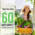 Probiotics for Women and Men, 300 Billion CFU, 24 Strains with 15 Organic Herbs for Digestive, Immune & Whole-Body
