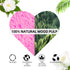 Women 60-Count Compressed Cellulose Heart Shape Face Sponges - 100% Natural Cosmetic Sponges for Cleansing &