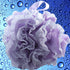 Loofah-Bath-Sponge Lace-Mesh-Set - 4 Pack Spa Colors, 2-Scrubs-in-1 by Shower Bouquet, 60g Pouf for Exfoliating Skin