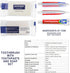 30 Pack Disposable Toothbrushes with Toothpaste and Soap, Individually Wrapped, 2 Colors, Hotel Travel Size