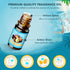 Summer Fragrance Oils Set - Premium Essential Oils for Diffuser and Candle Making (Ocean Breeze, Coconut, and More)