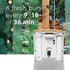 Glade Automatic Spray Refill, Twinkling Pine & Cedar Air Freshener, 6.2 Oz, 2 Count, Limited Edition Scent