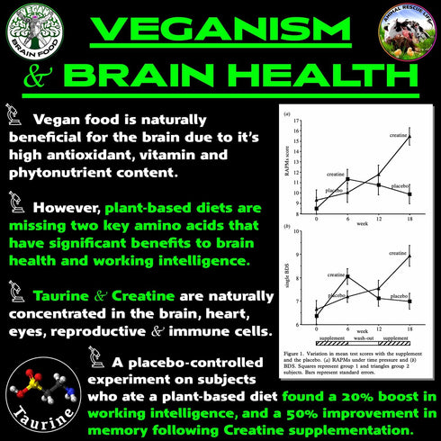 Vegan Brain & Body Boost, Plant-Based Lifestyle Supplement, Anti-Aging, Physical Fitness, Vegan Amino Acids - Creatine,