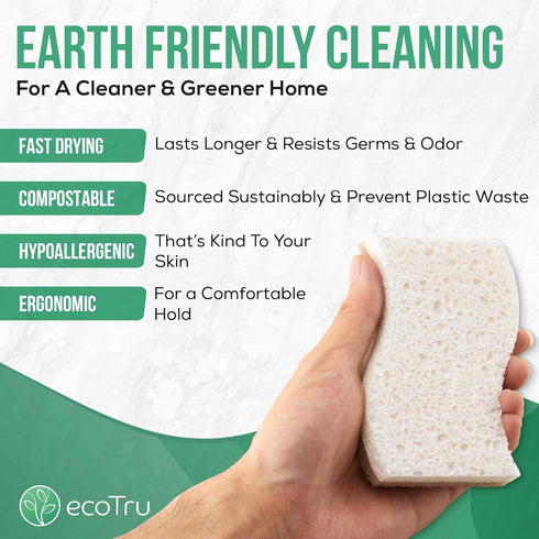 6 Pack Natural Kitchen Sponges, Compostable White Cellulose & Organic Coconut Scrubber for Washing Dishes