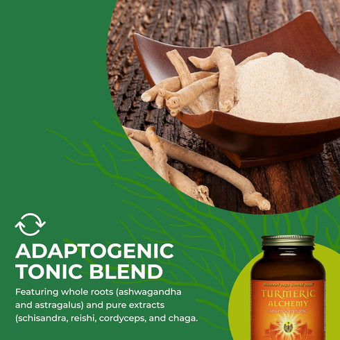Turmeric Alchemy - 180g Powder for Health Benefits