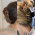 Polycarbonate Large Hair Claw Clips for Women, 3 Counts in Set of Black/Tortoise Shell Brown/Clear Resin, 4.3 inch in