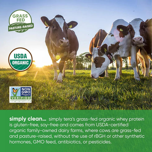 simply tera's organic whey protein powder, dark chocolate flavor