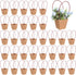 hidyuuoo 30 Pcs Paper Bouquet Holder with Handle - Flower Holder & Flower