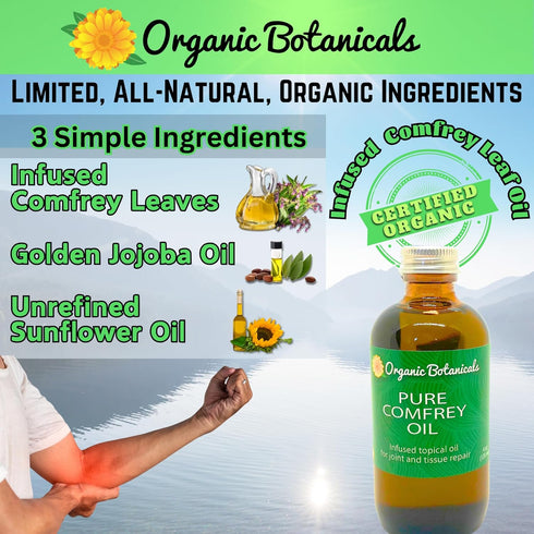 Organic Botanicals (2 oz) Pure Organic Comfrey Leaf Infused Oil - Skin Care for Joints, Back, Muscles, Fractures