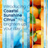 Glade Automatic Spray Refill, Coastal Sunshine Citrus, 6.2 Oz, 3 Count - Air Freshener for Home & Bathroom