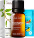 Set Set 2x0.34 oz Roman Chamomile Essential Oil for Diffuser & Eucalyptus Essential Oil for Diffuser - Aromatherapy