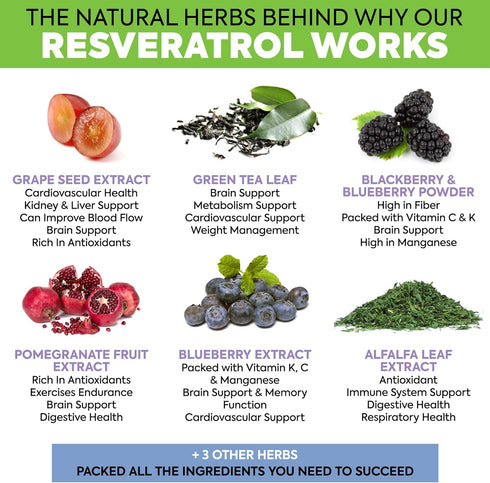 Extra Strength Resveratrol 1568mg, 180 Capsules, Antioxidant Supplement for Heart Health