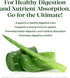 Immune 16 Ultimate Aloe Aloe Juice for Gut Health, Digestive Comfort, Support, and Nutrient Absorption Strawberry