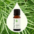 Plant Therapy Dill Weed Essential Oil 10 mL (1/3 oz) 100% Pure, Therapeutic Grade