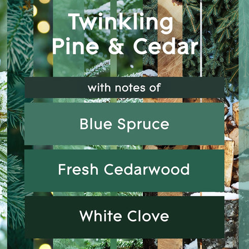 Glade Automatic Spray Refill, Twinkling Pine & Cedar Air Freshener, 6.2 Oz, 2 Count, Limited Edition Scent
