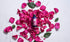 Woolzies Best Natural Rose Essential Oil Blend, 1 Oz, Therapeutic Aromatherapy Oil for Relaxation and Skin Healing