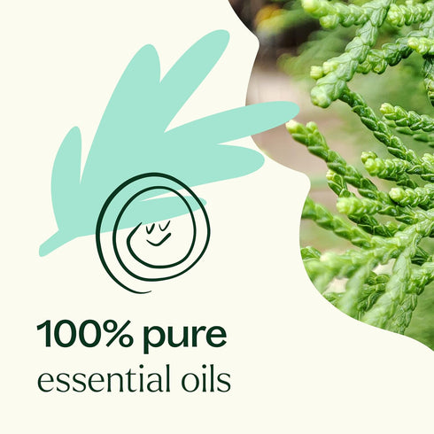 Plant Therapy KidSafe Sniffle Stopper Essential Oil Blend 10 mL (1/3 oz) 100% Pure, Natural Aromatherapy, Therapeutic