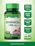Echinacea Extract Capsules | 1300mg | 100 Count | Non-GMO & Gluten Free by Nature's Truth