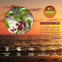 Immune 2 Oz FabLab Sarsaparilla Root Tincture - Herbal Supplement for Detox and Support - Fl - Alcohol-Free - Non-GMO