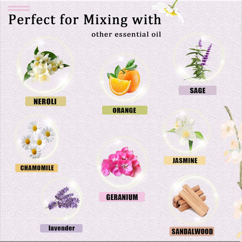 Rose Essential Oil 118mL, Premium Essential Oil with Glass Dropper for Diffuser, Soap & Candle Making, Aromatherapy