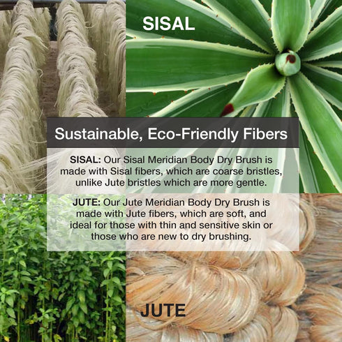 Natural Bristle Dry Brush for Skin, Dry Brushes for Body (Sisal Dry Brush)