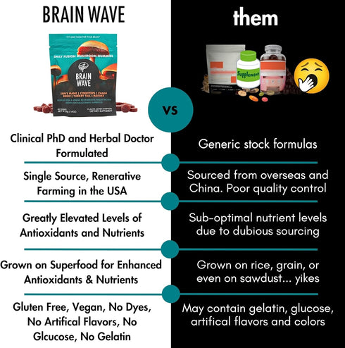 BRAIN WAVE Superfood Mushroom Gummies - Daily Multi Mushroom Supplement - Lions Mane, Reishi, Cordyceps, Turkey Tail,