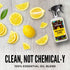 Aunt Fannie's All Purpose Wood Spray Cleaner, No-Wax Formula for Wood Tables, Walls, Counters, 16.9 Ounces