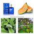 PB ParfumsBelcam Blue Classic Match - Signature Designer Eau de Toilette Spray for Men, 75 mL