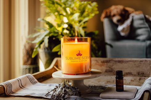 Sublime Scent 150ml Flameless Essential Oil Diffuser - Corded. It Features an Easy to use Water Tank, Light on or Off