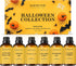MAJESTIC PURE Halloween Essential Oil Gift Set - Autumn Wreath, Pumpkin Pie, and More Scents for Candle Making