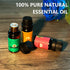 Set 100% 6-Pack 0.33 Oz Essential Oil - Pure Natural, (Tea Tree, Eucalyptus, Lavender, Orange, Peppermint, Lemon Oils)