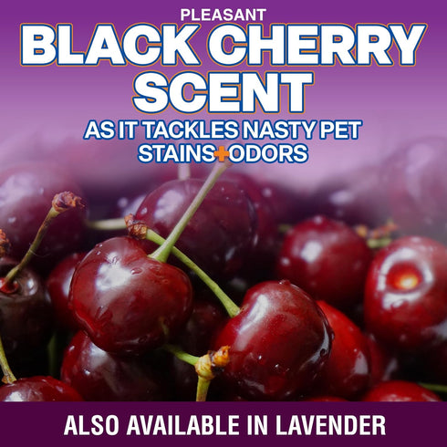 Stain and Odor Remover Spray, 16 oz Black Cherry Scented Pet Odor Eliminator for Carpet and Furniture