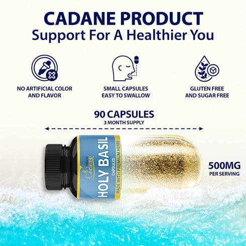 Organic Cadane Holy Basil Supplements - Capsules with Guduchi, Ginger, Turmeric Curcumin, Licorice, 90 Capsules for