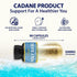 Organic Cadane Holy Basil Supplements - Capsules with Guduchi, Ginger, Turmeric Curcumin, Licorice, 90 Capsules for