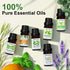 Set, 6 Pack Essential Oil Diffuser & Essential Oils Glass Aromatherapy Diffuser, Oils Gift (Lavender Tea Tree