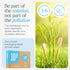 Bamboo Toothbrushes 10 Pack, Eco-Friendly, Biodegradable & Compostable Natural Wooden Toothbrush