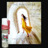 The Parfumerie 10 ml China Rain Original Perfume Oil | Alcohol Free | - Roll on Bottle