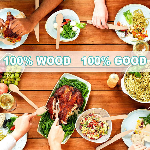 (500 Count) 100% Compostable Wooden Cutlery Set - 200 Wood Spoons, 200 Forks, 100 Knives, Eco-Friendly Disposable