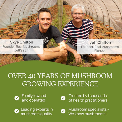 Real Mushrooms L-Ergothioneine, Golden Oyster Mushroom Extract (60ct) - Immune Support & Brain Supplement