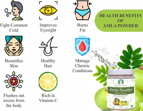 Amla Fruit Powder (Amalaki) 100 Gm | Raw, Non-GMO, Rich in Antioxidant Vitamin C, Vegan from India